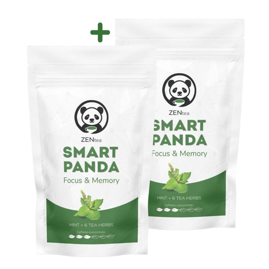 SmartPanda - Εστίαση &amp; Μνήμη - 2 τεμάχια